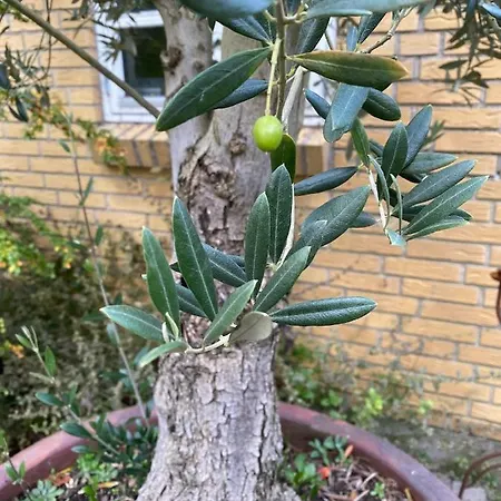 וילה Med Havudsigt *