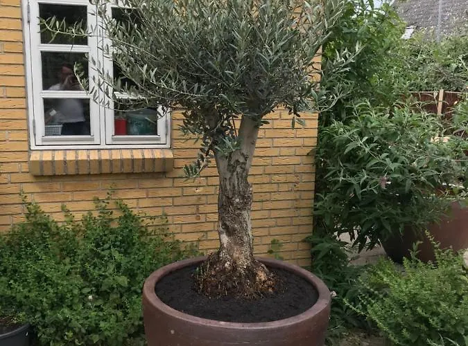 Villa Med Havudsigt *